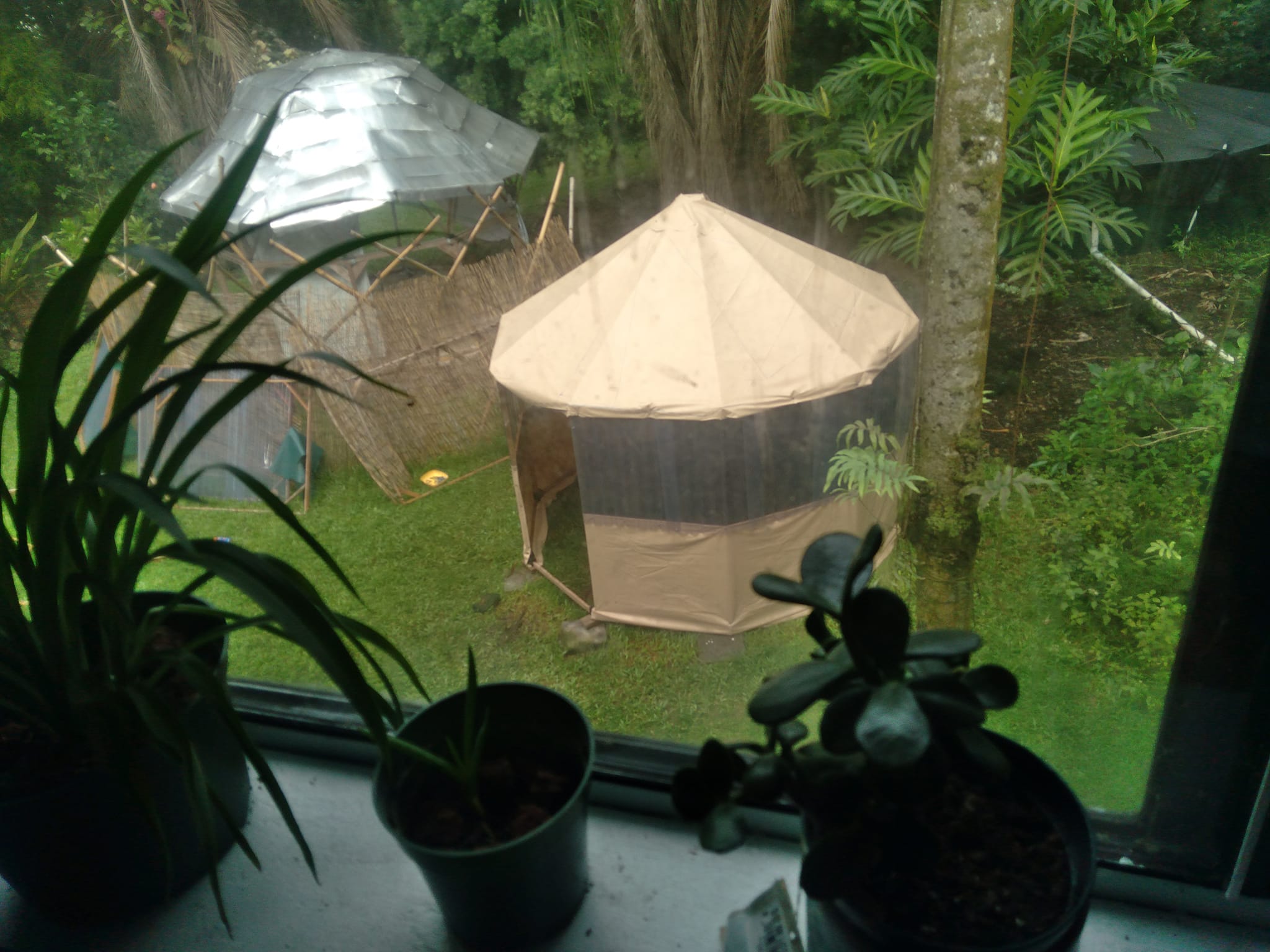 yurts for sale