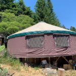 What are Yurts?