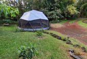 DIY dome yurt kits, free shipping in US. Multiple Sizes