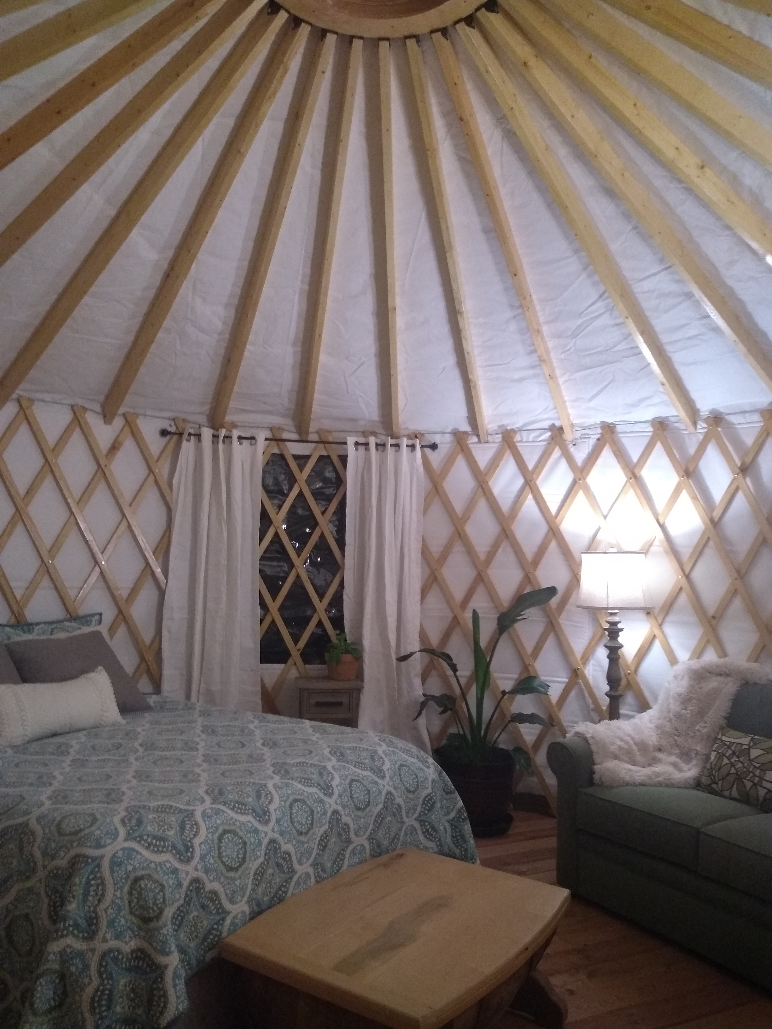 1 New 30ft yurt and 2 New 20ft yurts