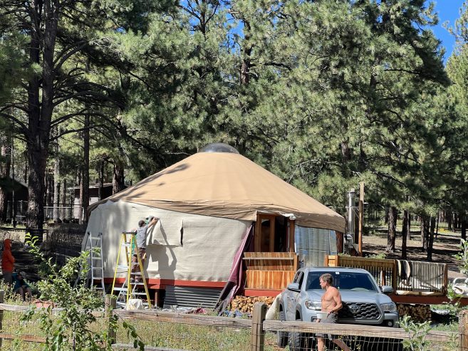 Felt Insulation for Yurts